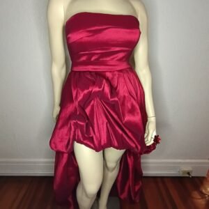 Red Evening Gown